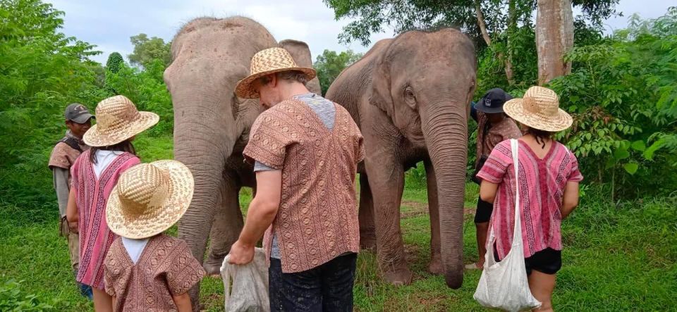 From Phuket: Ethical Elephant Interactive Trek and Tour - Elephant Nursery Visit