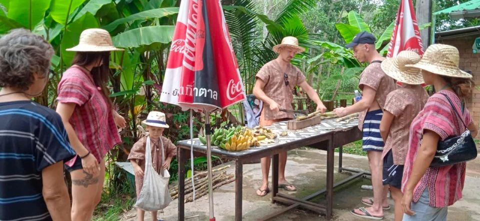 From Phuket: Ethical Elephant Interactive Trek and Tour - Traditional Thai Lunch