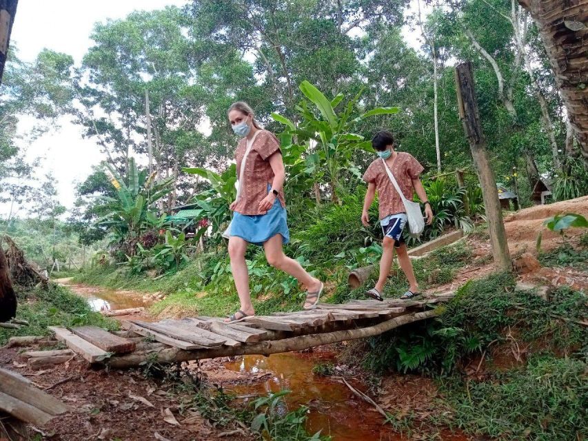 From Phuket: Ethical Elephant Interactive Trek and Tour - Mud Spa and River Bathing