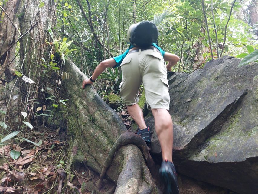 From Phuket: Guided Rainforest Hike With Lunch - Itinerary and Highlights