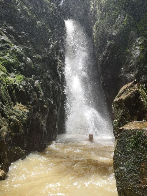 From Phuket: Guided Rainforest Hike With Lunch - National Park Entry and Safety