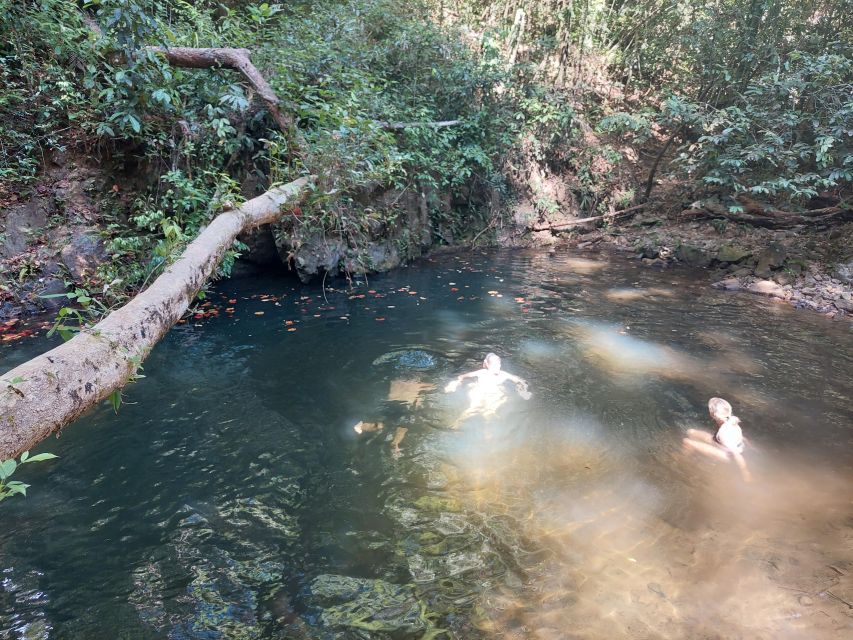 From Phuket: Guided Rainforest Hike With Lunch - Experiencing Phukets Rainforest