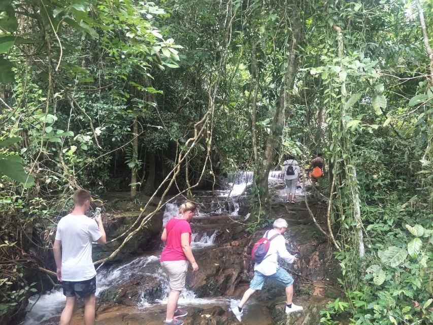 From Phuket: Guided Rainforest Hike With Lunch - Swim in Tropical Pools