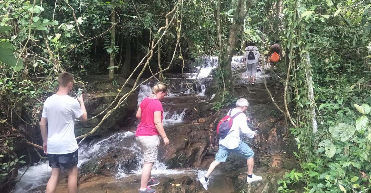 From Phuket: Guided Rainforest Hike With Lunch - Authentic Thai Lunch Included