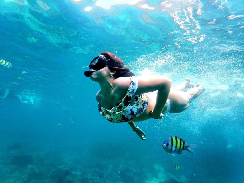 From Phuket/Khao Lak: Similan Day Trip by Speedboat Charter - Important Information