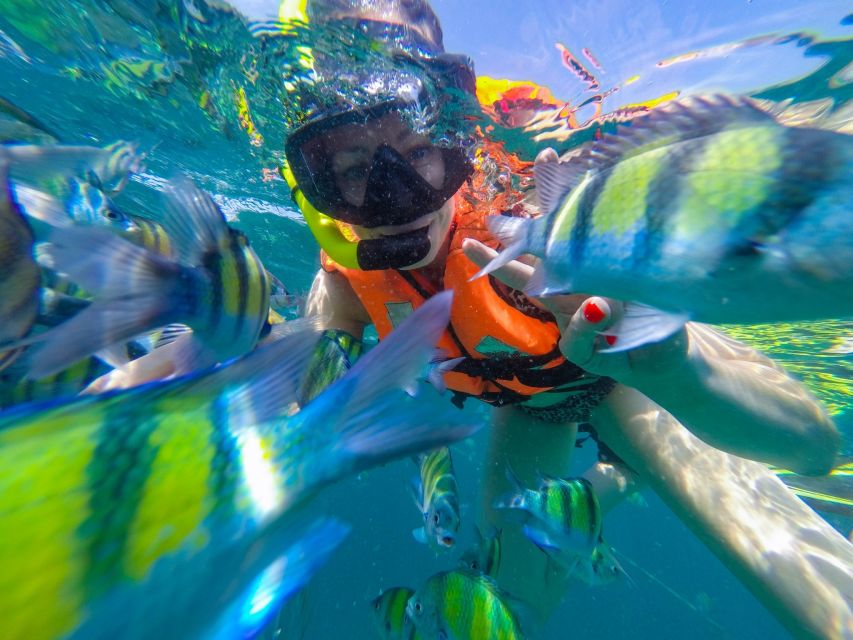 From Phuket: Phi Phi and Maya Bay Snorkeling by Speedboat - Cancellation Policy