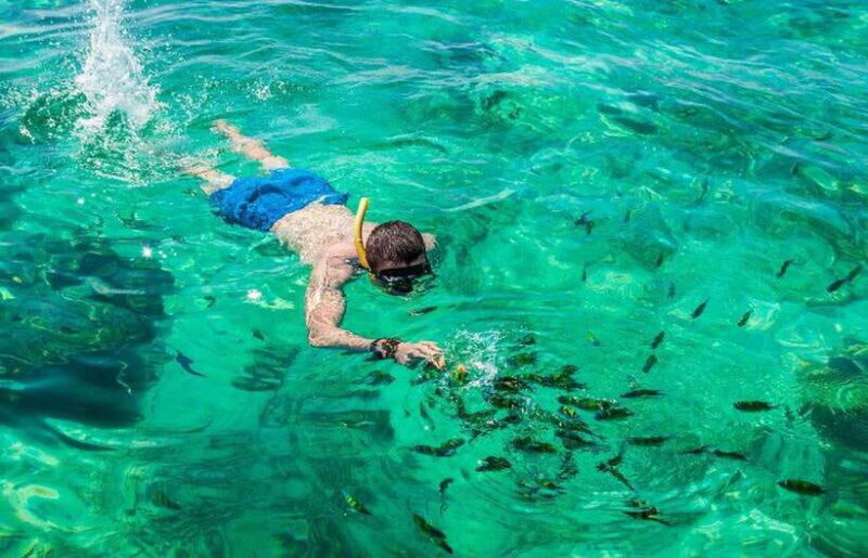 From Phuket: Phi Phi Island Dawn Tour With Lunch - Pileh Lagoon: Natural Swimming Paradise