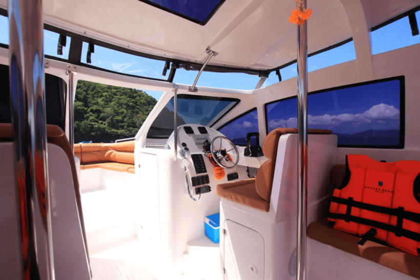 From Phuket: Premium Private Speedboat Coral/Racha/Promthep - Participant Restrictions