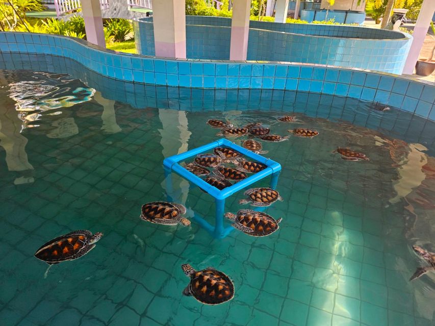 From Phuket: Private Day Tour to Khao Lak With Rafting & ATV - Phuket Hotel Pickup