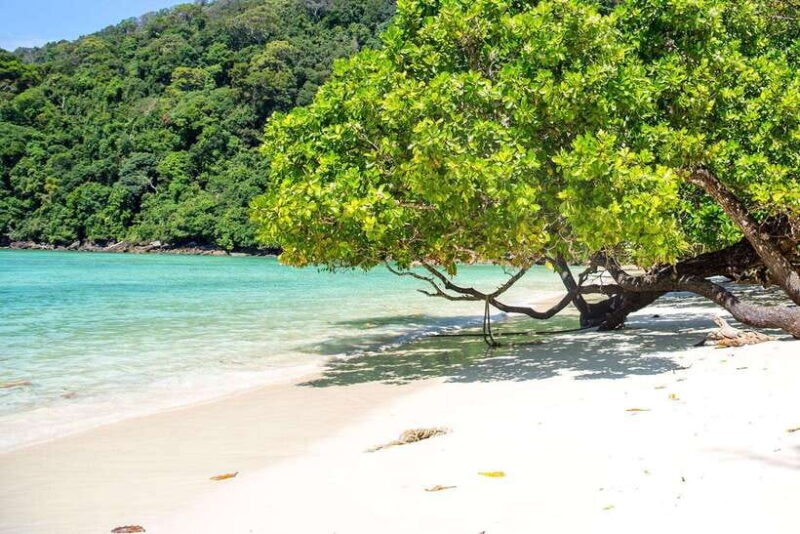 From Phuket: Surin Islands Snorkeling Trip - Customer Reviews and Ratings
