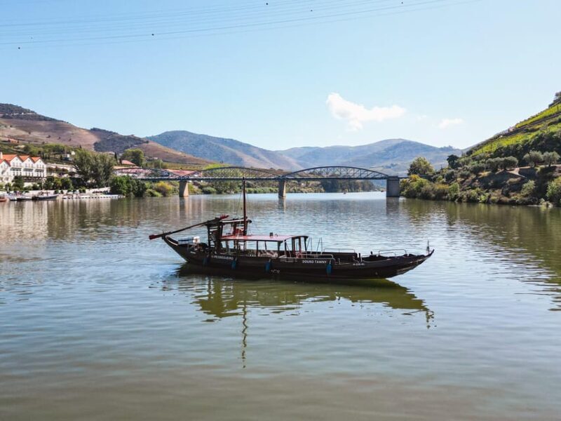From Pinhão: Private Rabelo Boat Douro Tour with Port Wine - What’s Included and What to Consider