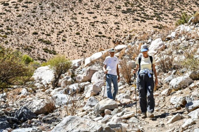 From Pisco Elqui: Cochiguaz River Valley Nature Hike - Hiking Trail Information