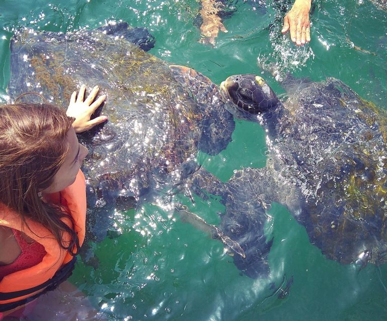 From Piura || Excursion to Mancora + Swimming With Turtles - Key Points