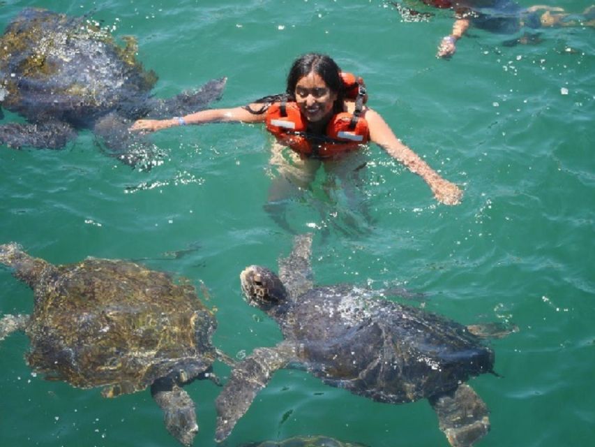 From Piura || Excursion to Mancora + Swimming With Turtles - Transportation and Inclusions