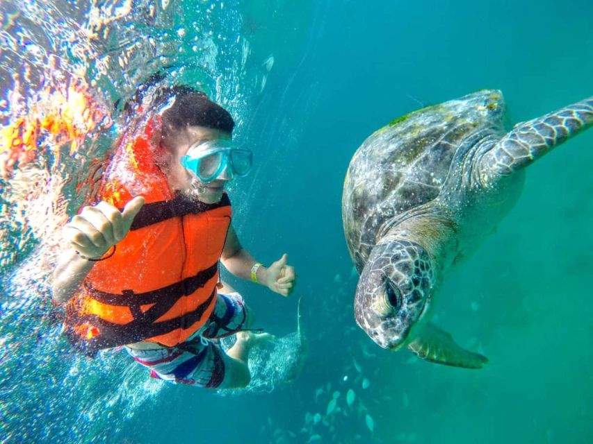 From Piura || Excursion to Mancora + Swimming With Turtles - Important Information