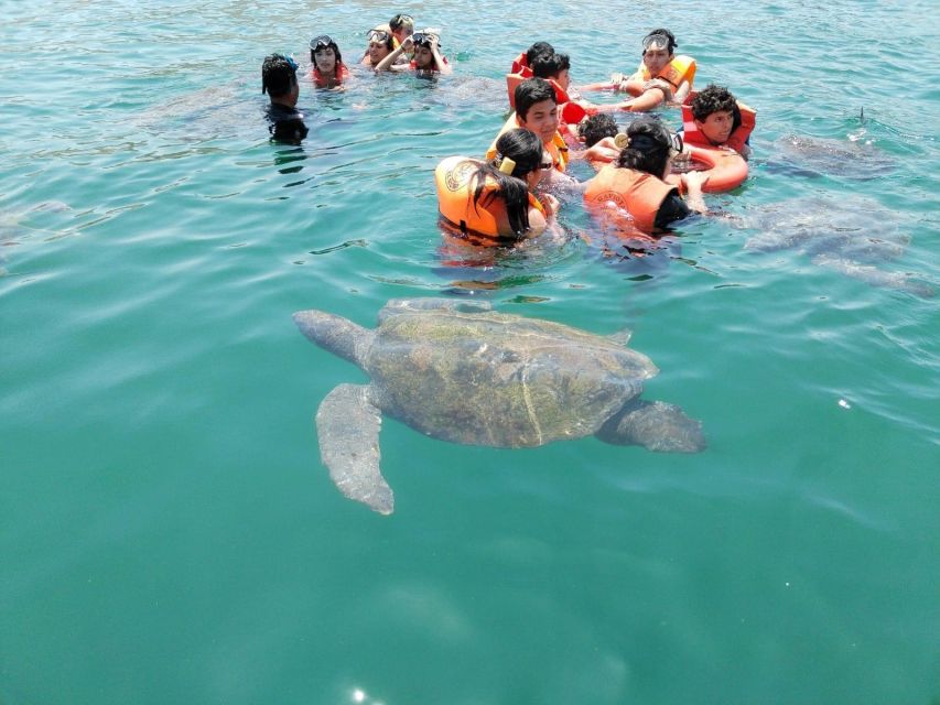 From Piura || Excursion to Mancora + Swimming With Turtles - Booking and Cancellation Policy