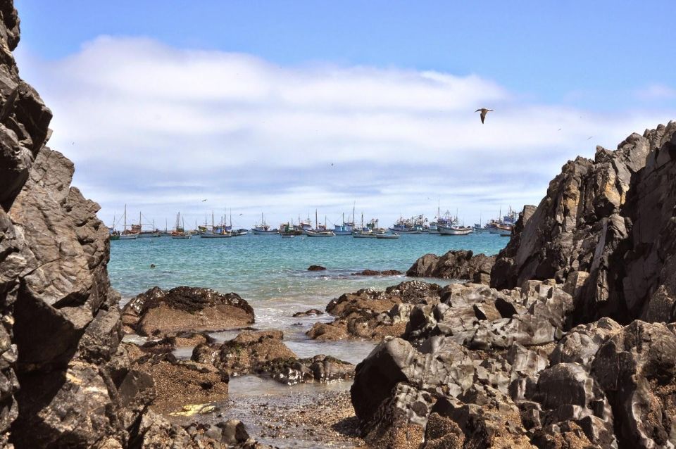 From Piura || Full Day Excursion to Paita and Colán - Key Points