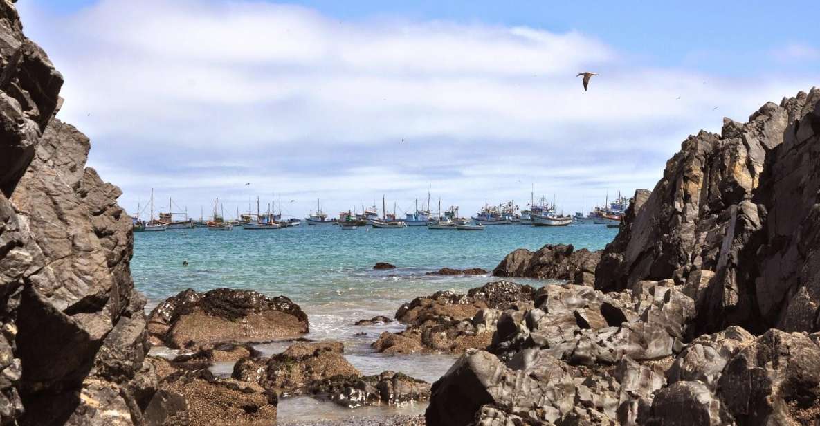 From Piura || Full Day Excursion to Paita and Colán - Highlights of the Trip