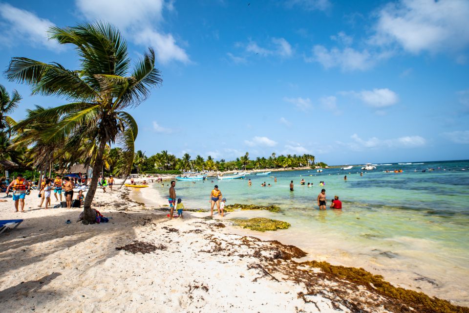 From Playa Del Carmen: Cenote and Swim With Turtles Tour - Hotel Pickup and Drop-off