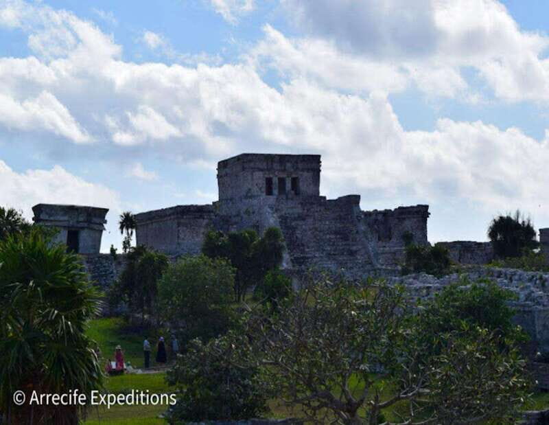 From Playa del Carmen: Coba Expedition - What Is the Coba Expedition from Playa del Carmen?