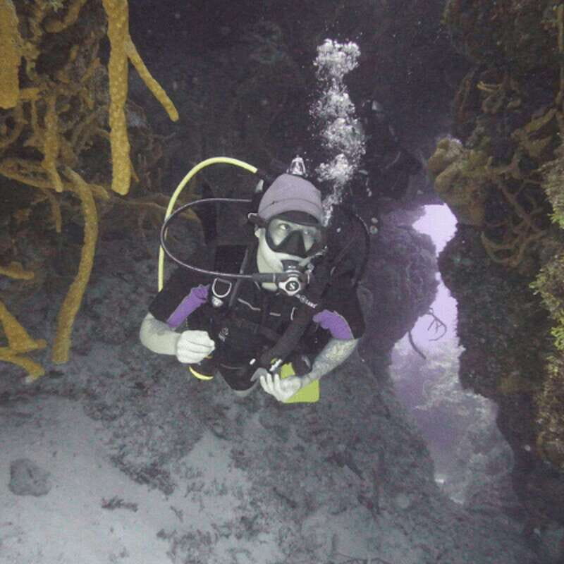 From Playa del Carmen: Cozumel Diving Adventure - An In-Depth Look at the Cozumel Diving Adventure