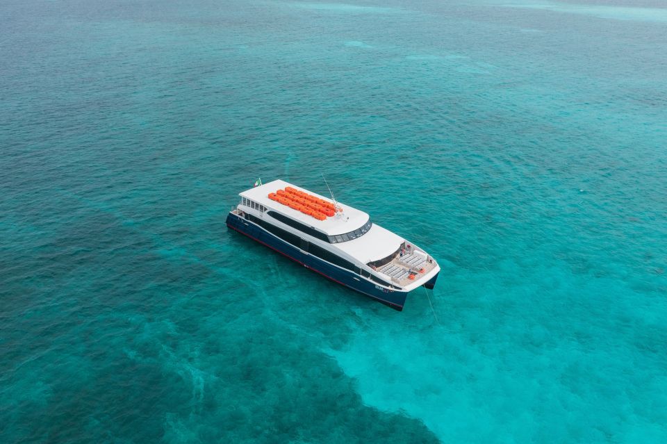 From Playa Del Carmen: Ferry to Cozumel Island - Included Amenities and Features