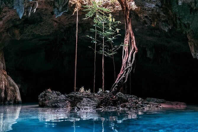 From Playa del Carmen Tour Tulum Adventure - Guided Experience and Reviews