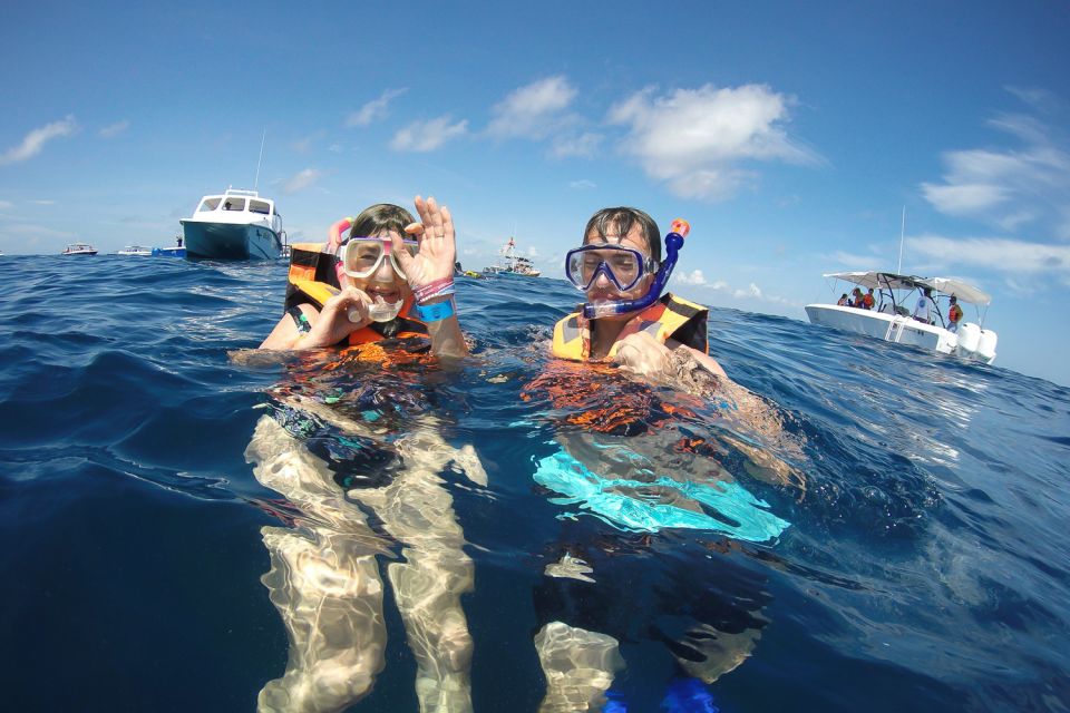 From Playa Del Carmen: Whale Shark Tour - Tour Exclusions