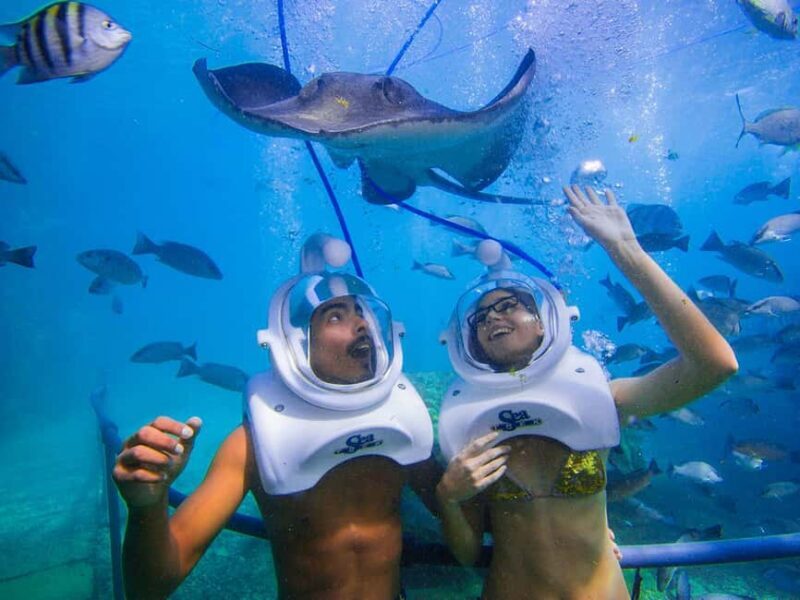 From Playa del Carmen: Xcaret Plus Park, the complete experience - FAQs