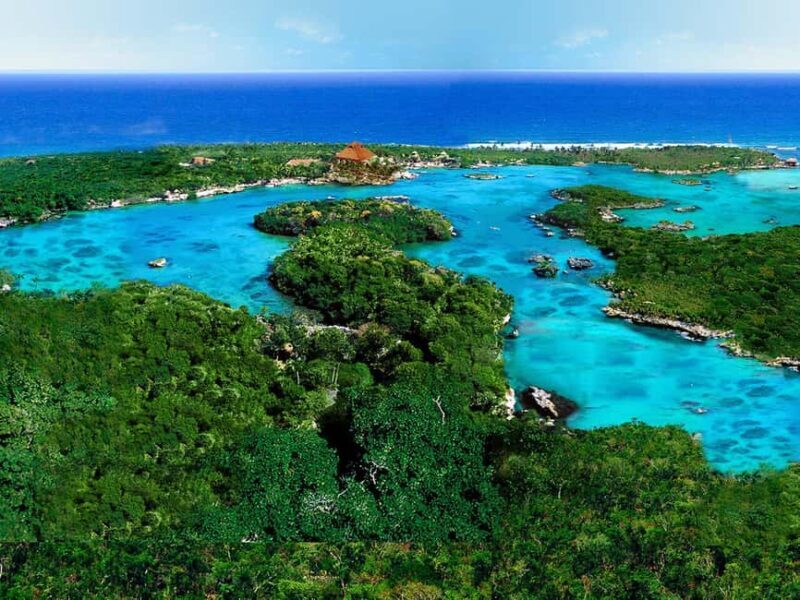 From Playa del Carmen: Xel-Há All-Inclusive Park - Who Would Love This Experience?