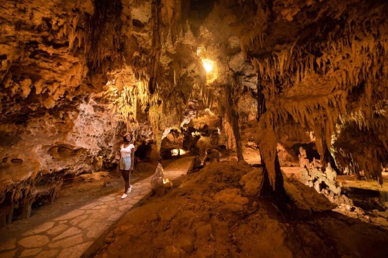 From Playa del Carmen: Xplor Park Admission, Full Day - Who is It Best Suited For?  