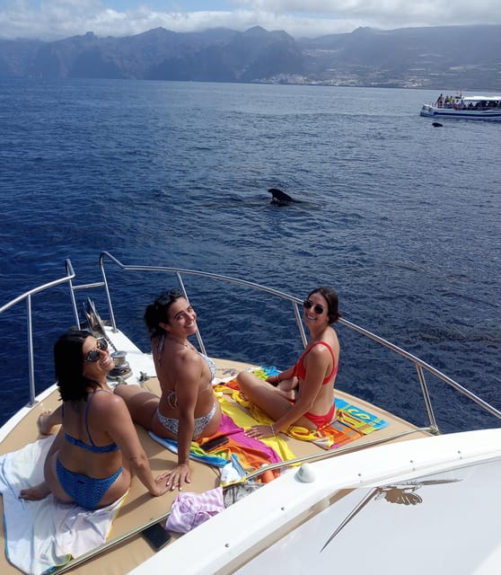 From Playa San Juan: Whale Watching, Gigantes, and Masca Bay - Guided Tour