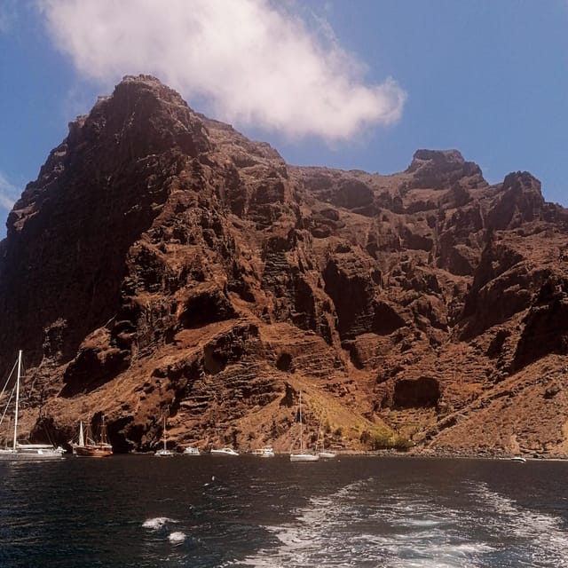 From Playa San Juan: Whale Watching, Gigantes, and Masca Bay - Customer Feedback