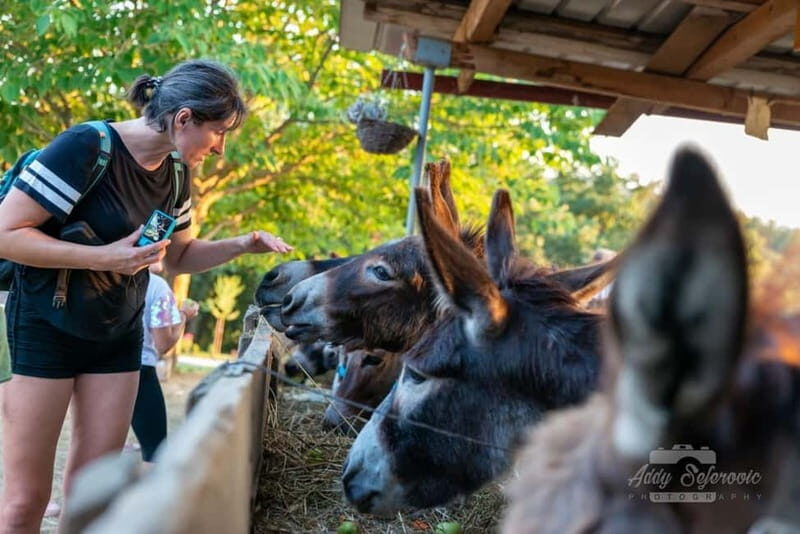 From Podgorica: Donkey Farm Visit - Introduction: A Genuine Taste of Montenegro’s Countryside  