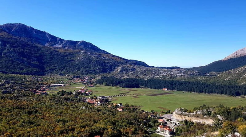 From Podgorica: Kotor & Budva Old Towns Tour and Skadar Lake - Who Will Love This Tour?