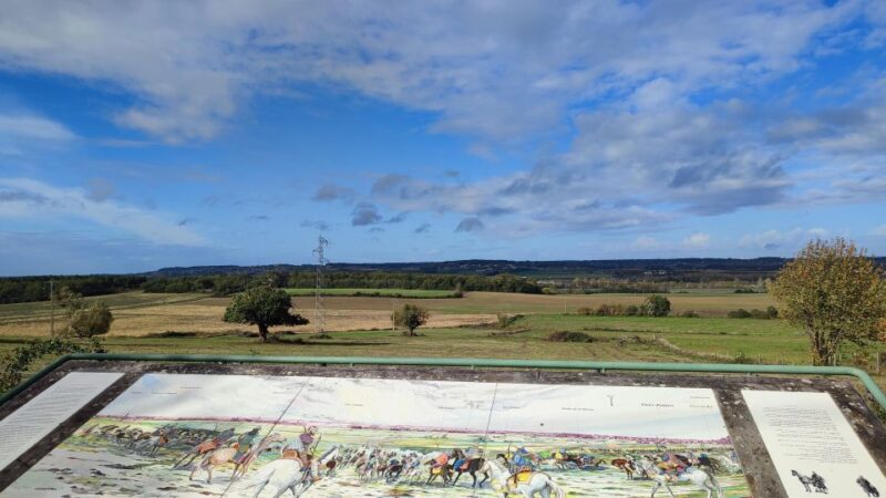 From Poitiers: Visit Chauvigny, Nouaillé, and Poitiers Center - Key Points