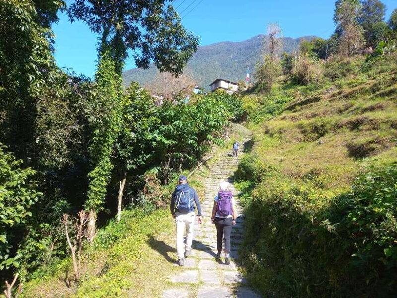 From Pokhara: 2-Days Poonhill Trek with Sunrise View - What’s Included and What’s Not