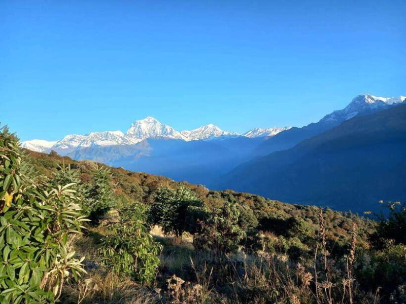 From Pokhara: 2-Days Poonhill Trek with Sunrise View - Final Words