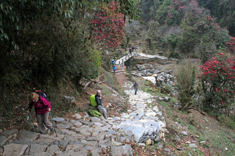 From Pokhara: 2 Days Short Poonhill Trek - Group Size and Guide Information