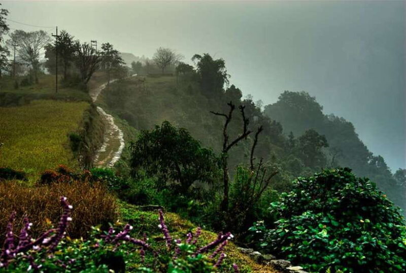 From Pokhara: 3 Day Dhampus-Sarangkot Trek - Why Travelers Love This Trek