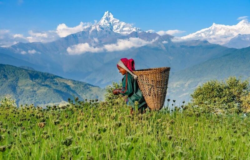 From Pokhara: 3-Day Ghorepani Poonhill Short Trek - Key Points