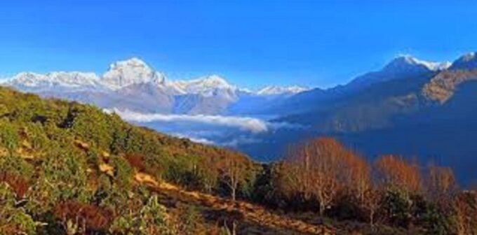 From Pokhara: 3 Night 4 Days Mohare Danda & Poon Hill Trek - Cancellation Policy