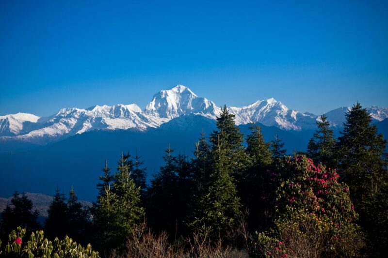 From Pokhara: 4-Day Ghorepani and Poon Hill Trek - Experience Highlights