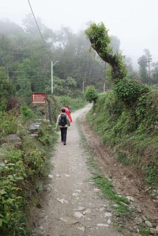 from Pokhara: 4-Day Mardi Himal Trek with Guide - What to Expect from the Experience