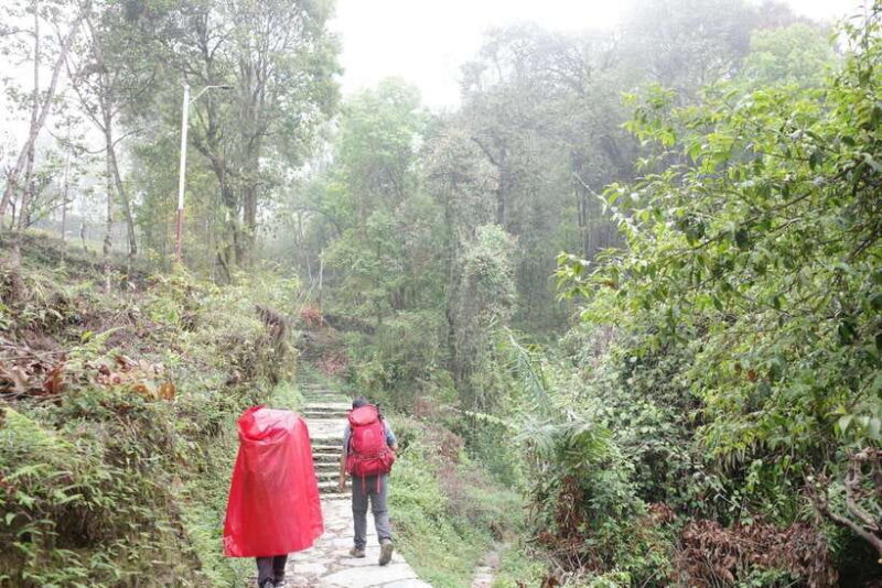 from Pokhara: 4-Day Mardi Himal Trek with Guide - FAQs
