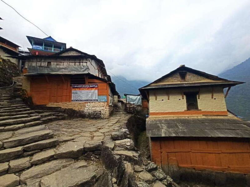 From Pokhara: 4-Day Poon Hill Trek with Transfers - An In-Depth Look at the Trek