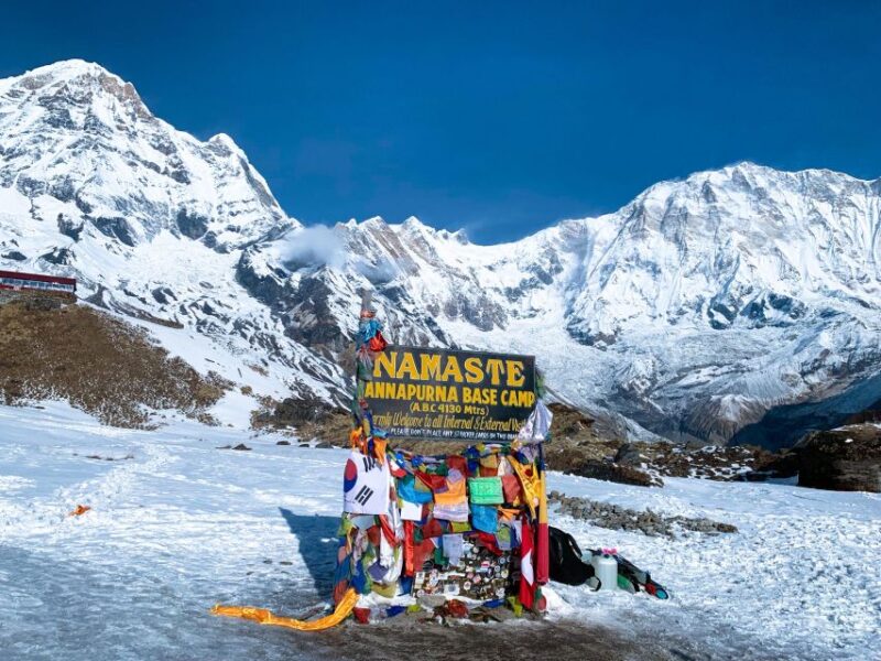 From Pokhara: 5 Day Annapurna Base Camp Trek - Inclusions and Services