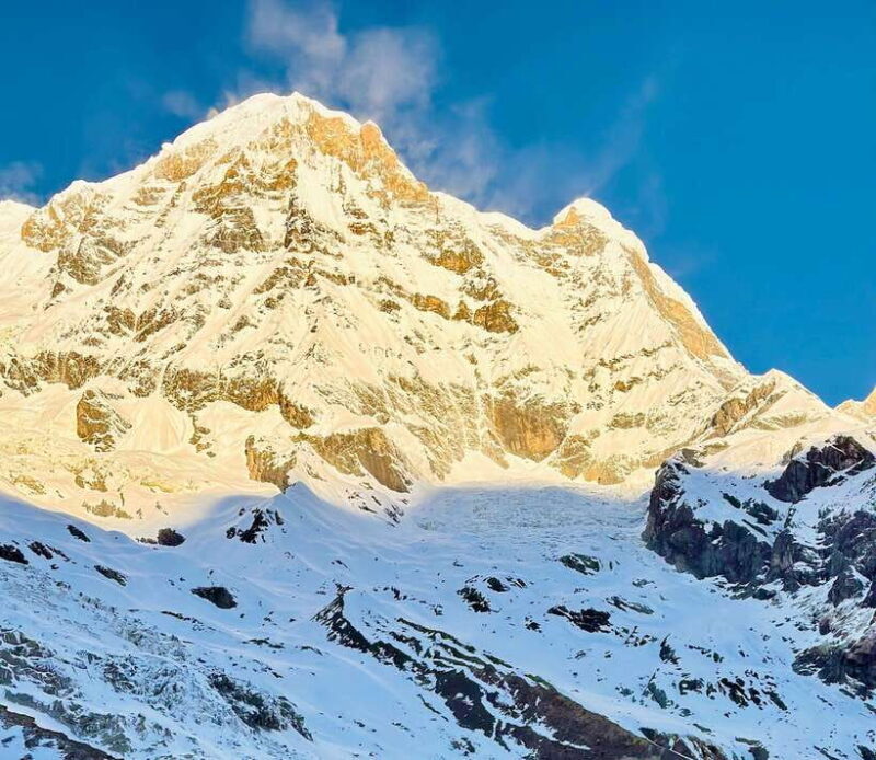From Pokhara: 7-Day Annapurna Base Camp and Chitwan Tour - The Return and Transition to Chitwan
