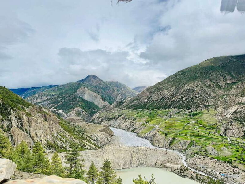 From Pokhara: 7-Day Annapurna Base Camp and Chitwan Tour - Practical Details: Transportation, Accommodation, and Costs