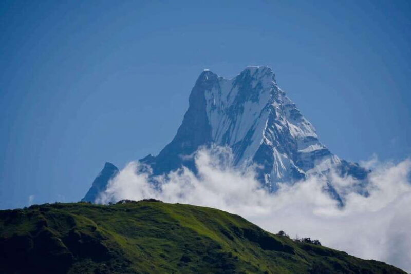 From Pokhara: 7-Day Annapurna Base Camp and Chitwan Tour - The Sum Up